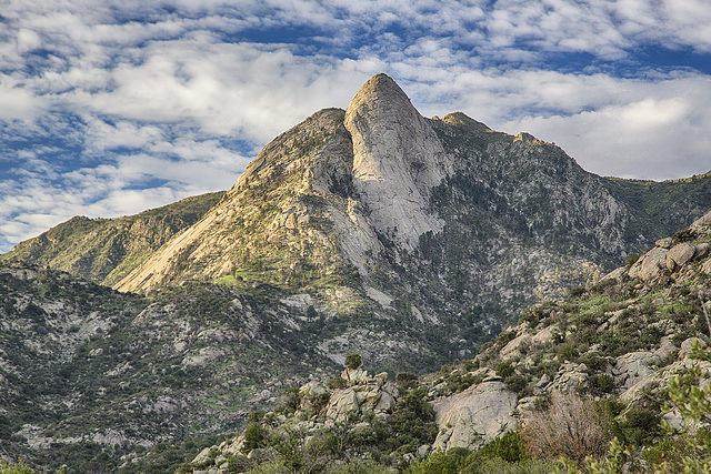 organ mountains