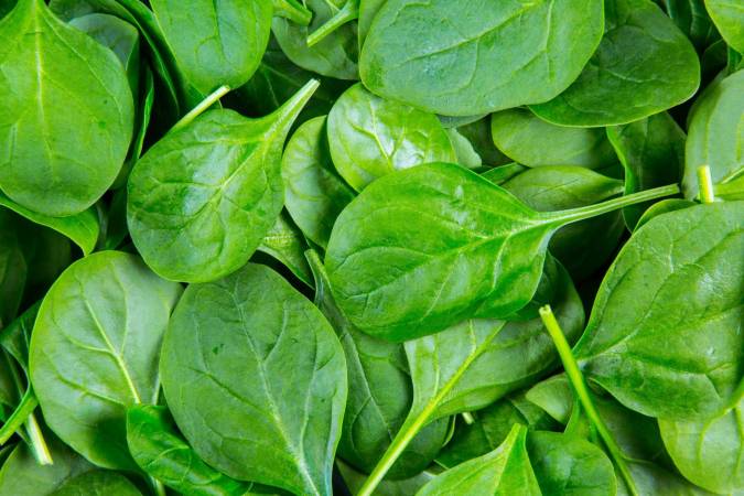 Spinach leaves