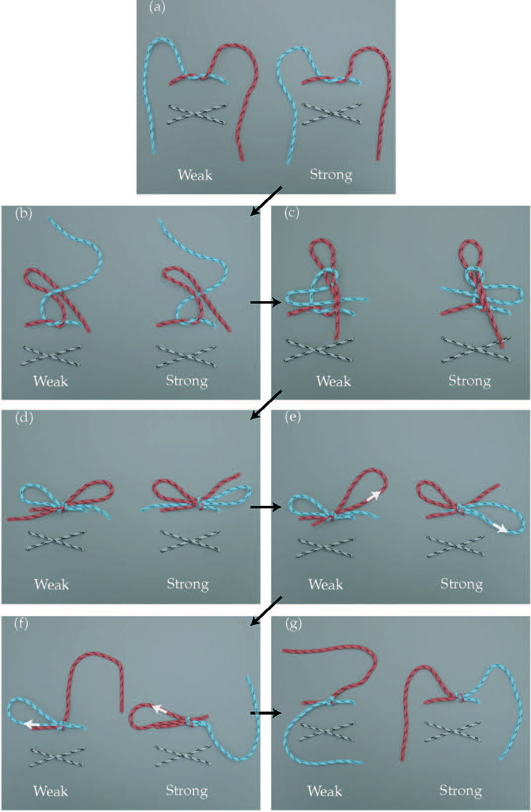 knot diagrams