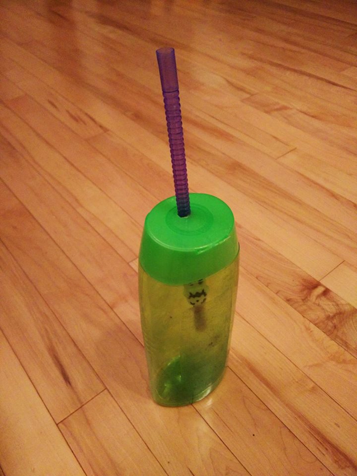 a photo of an air bubble inflation device for blowing soap bubbles, made out of a straw and a squeezable bottle