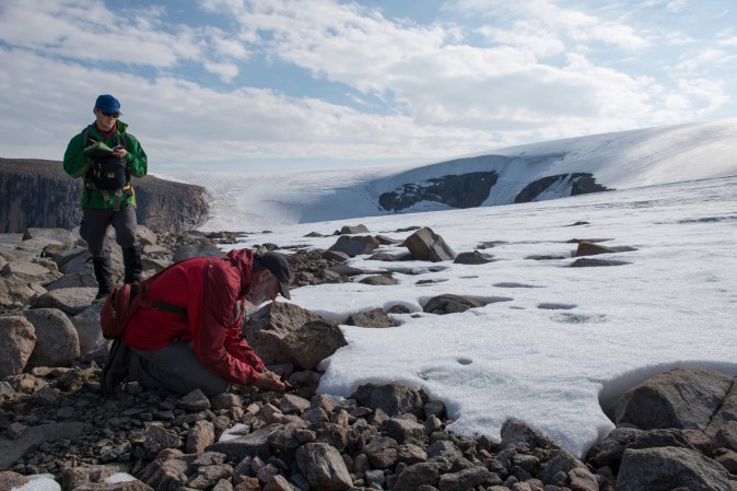 Climate change is turning the snowy white Alps green