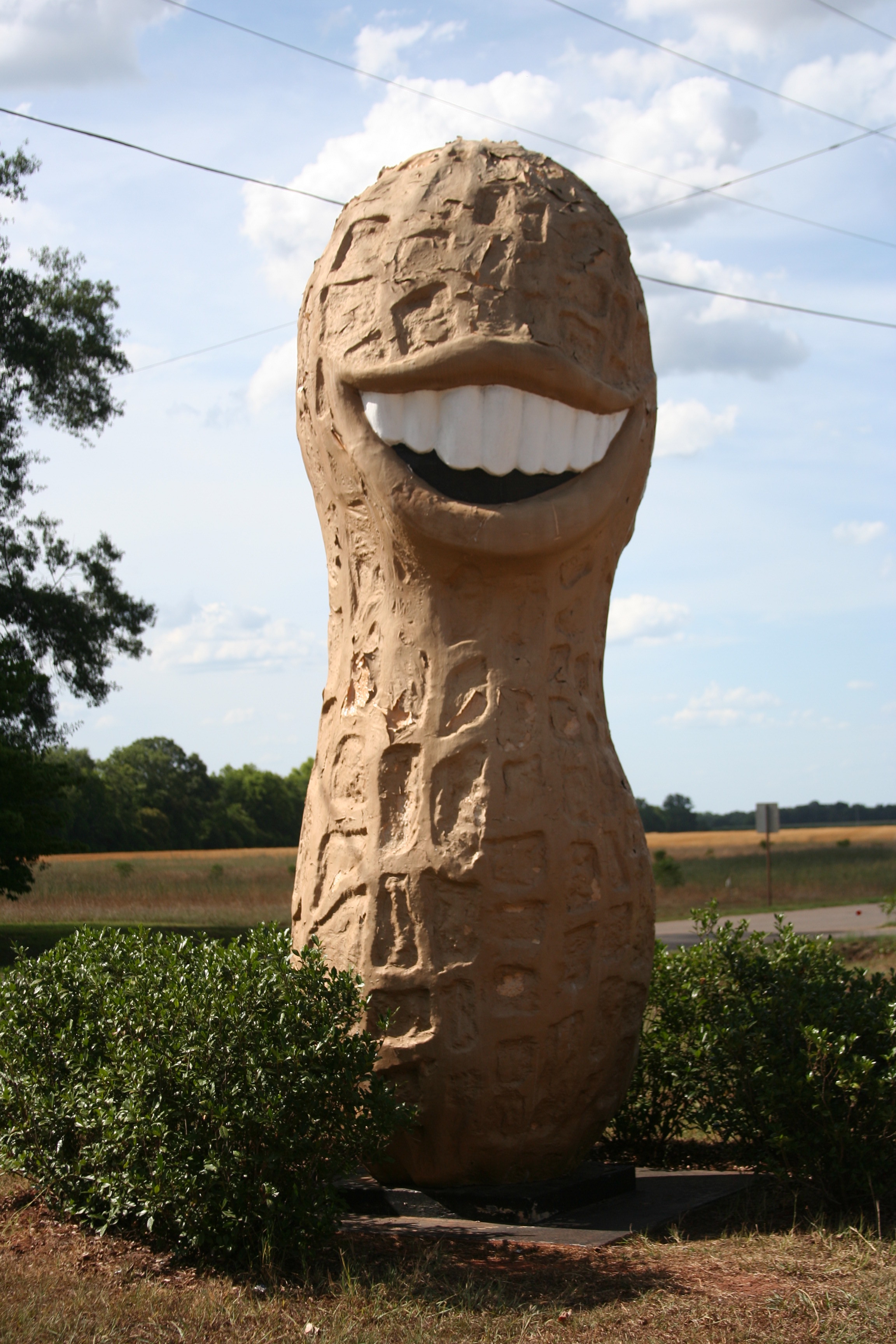 jimmy carter smiling peanut