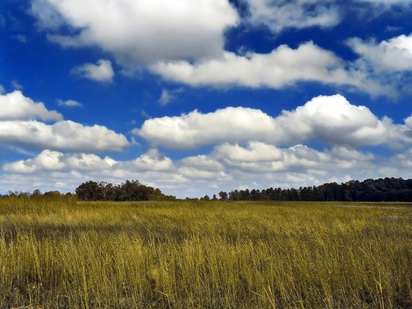 Cumulus clouds sky atmosphere climate change