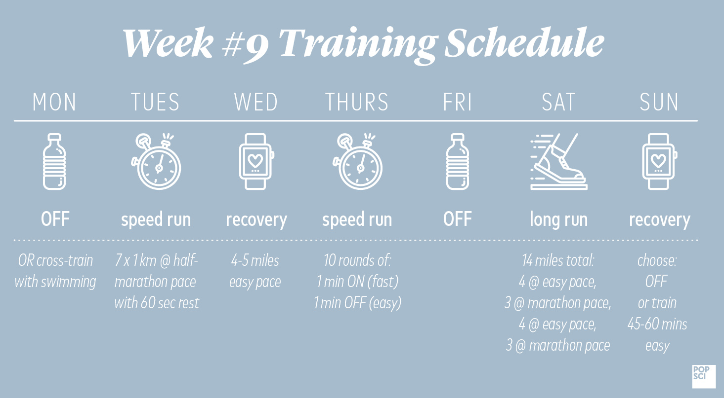 weekly training schedule