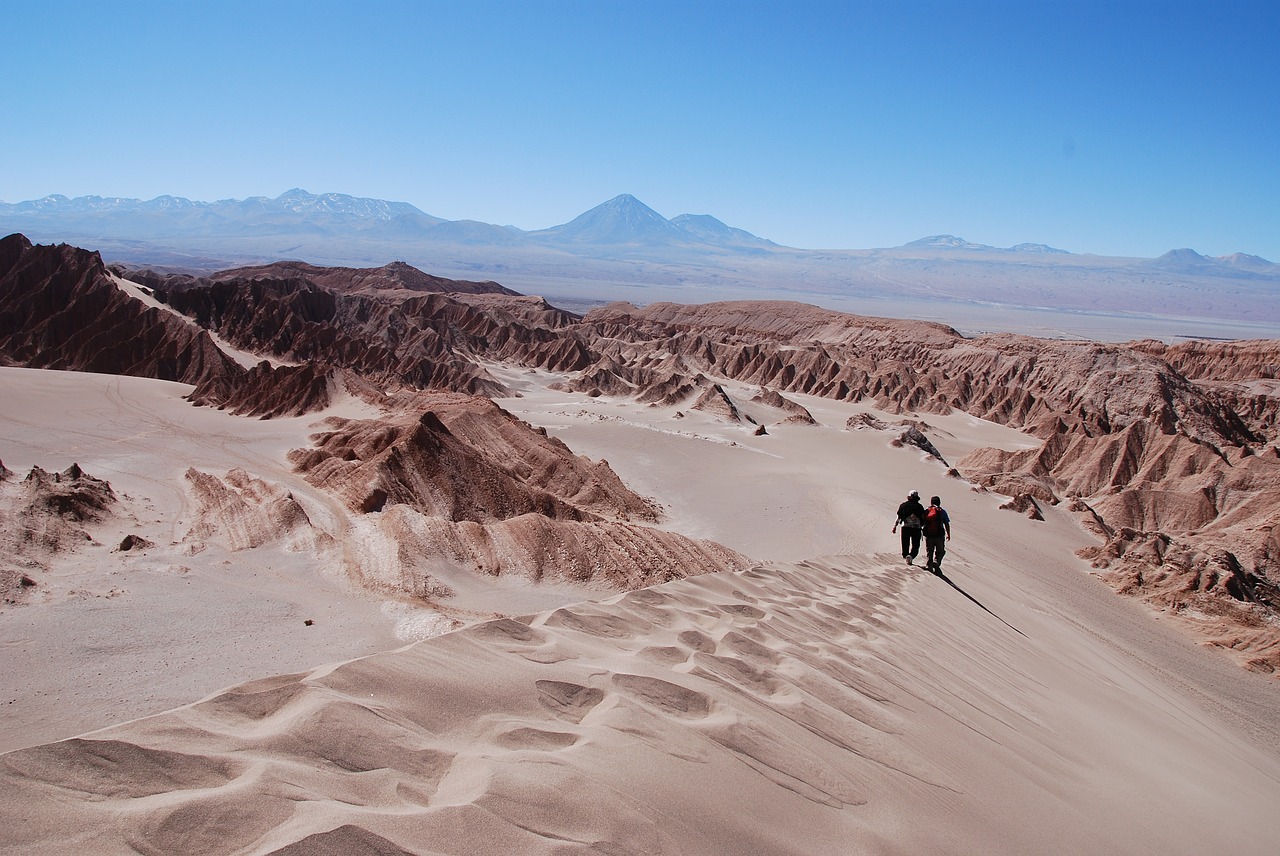 Chile Atacama desert life on Mars biosignatures