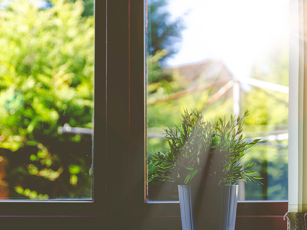 sunlight coming trough window