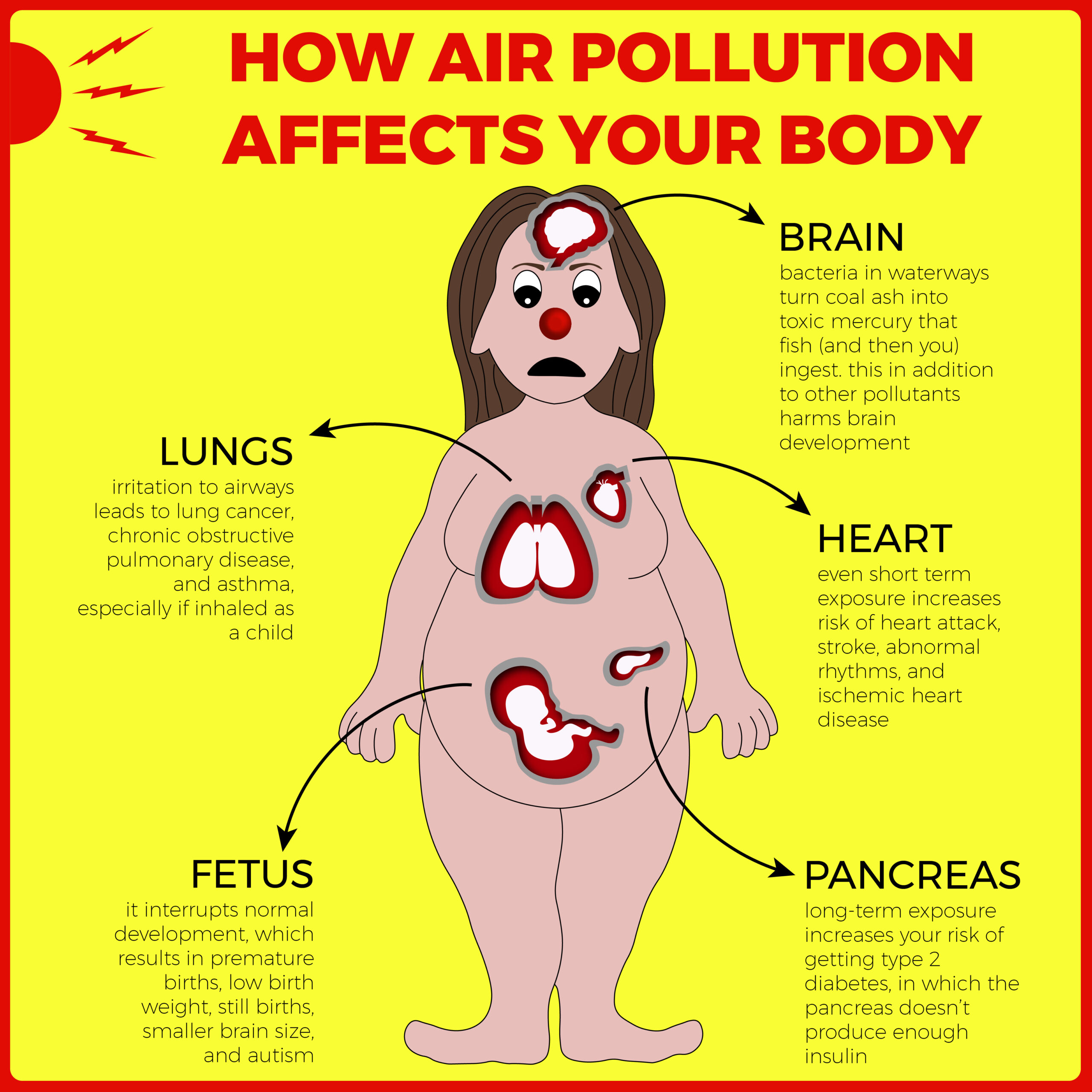 infographic on human health