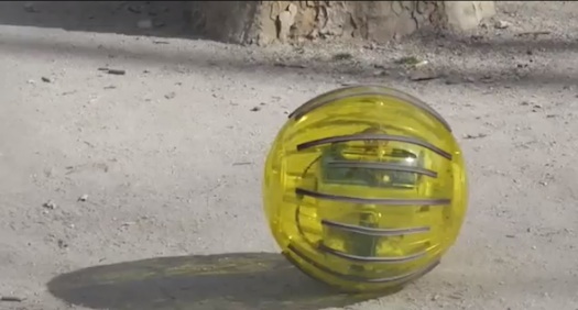 The Science Of Hamster Balls: New Rolling Robot Could Help Farmers