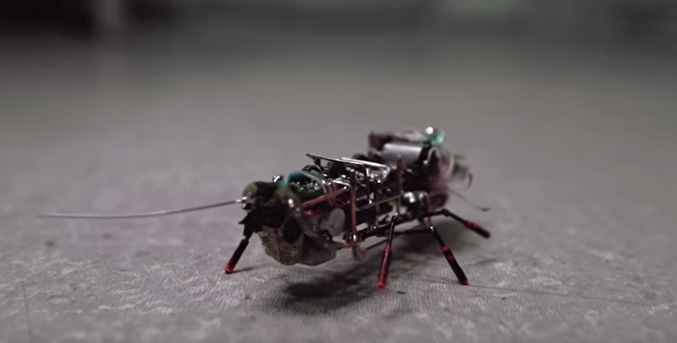 Russia Shows Off Robotic Cockroach