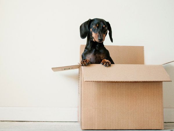 Moving is hard. Let these apps do the heavy lifting.