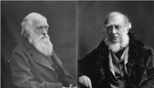 300 Previously Unpublished Darwin Letters To Be Posted Online