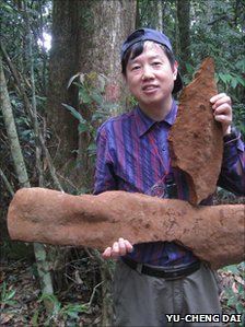 Largest Fungus In The World Found Under Tree in China