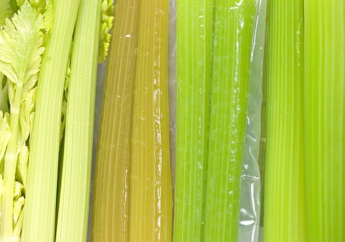 Eight stalks of celery, raw and cooked in different ways.