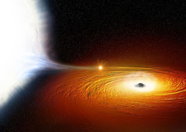 A black hole meets a white dwarf star