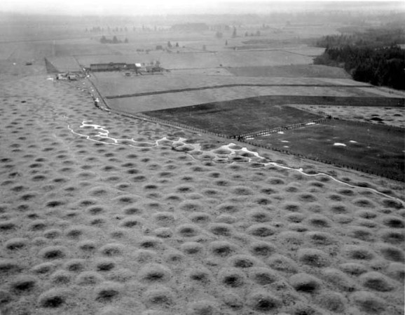 Simulated Gophers Explain Mysterious Mima Mounds