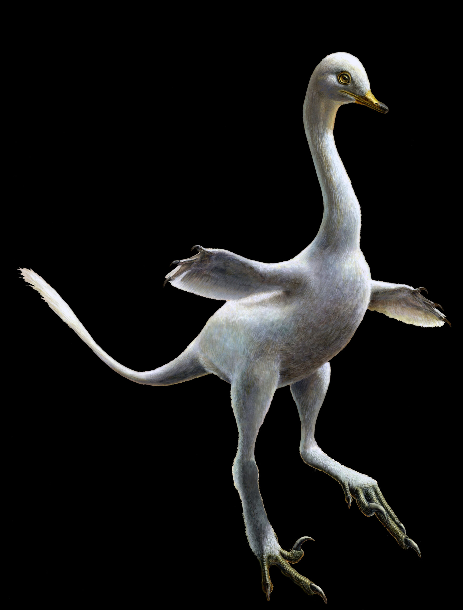 Reconstruction of the amphibious bird-like dinosaur Halszkaraptor