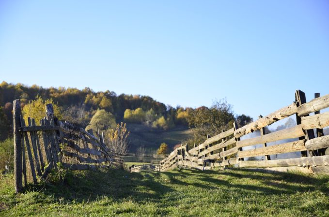 Why preserving wild spaces is important to agriculture