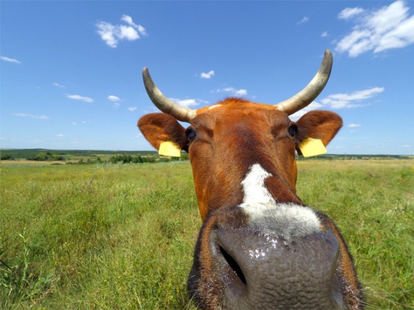 A carbon-neutral burger? It’s not impossible.