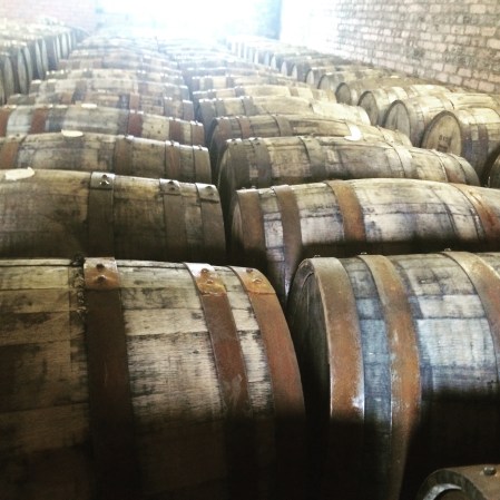 What Does The Deadly Oak Epidemic Mean For Whiskey?