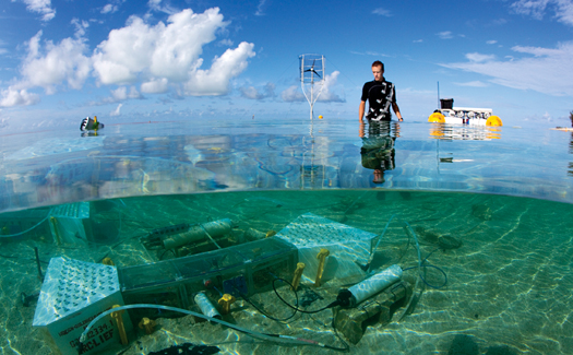 How Scientists Turn The Ocean Into A Controlled Laboratory