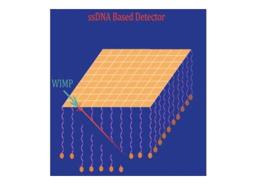 Physicists and Geneticists Team Up to Build a Galactic Dark-Matter Detector out of DNA