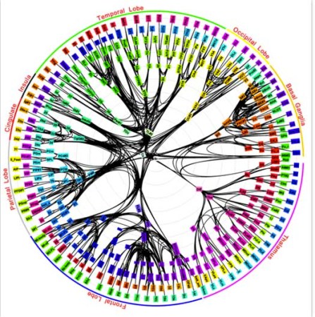 IBM Researchers Create the Most Detailed Brain Map Yet