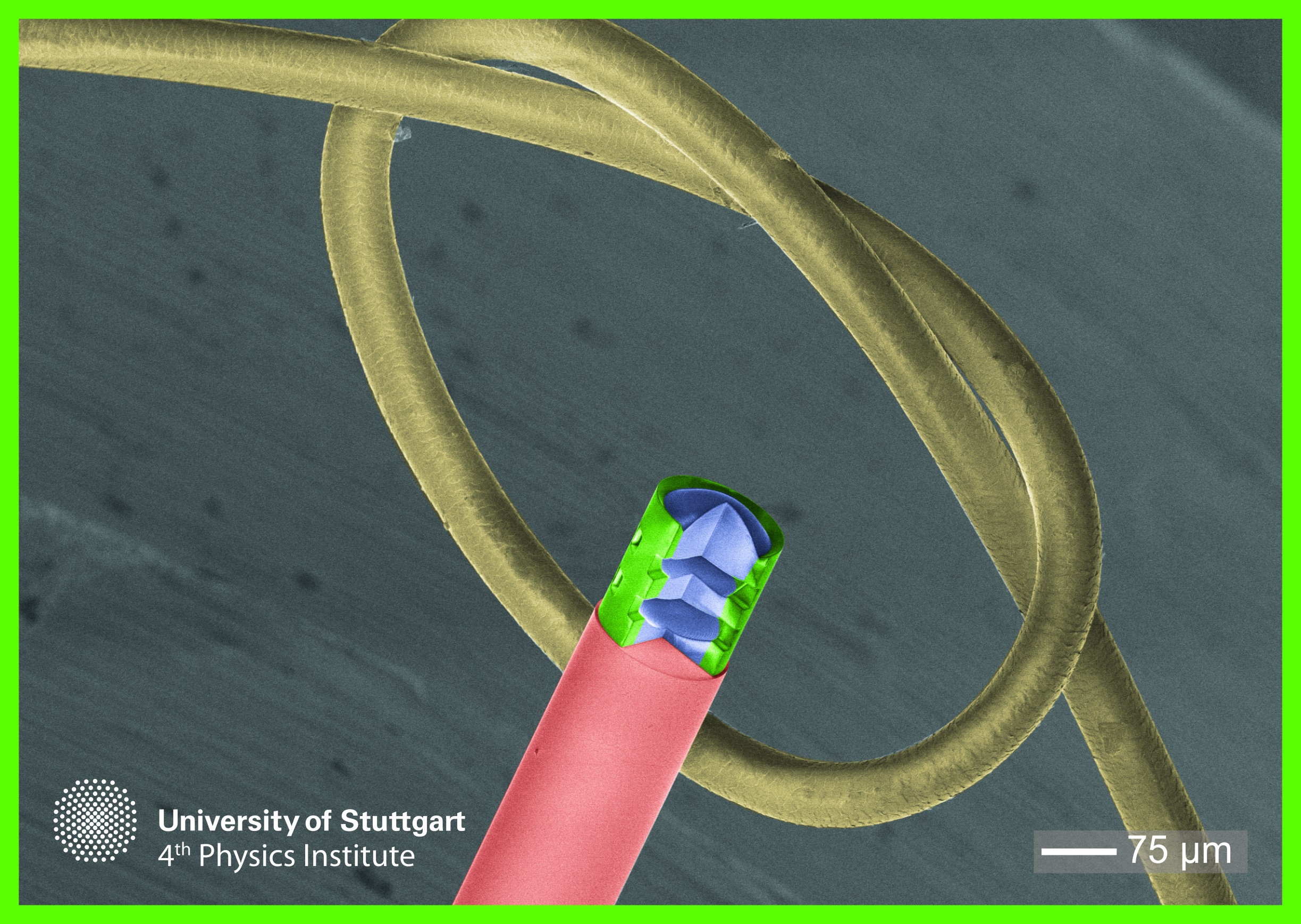 The 3D printed microlens mounted on a fiber optic cable and compared to a human hair.