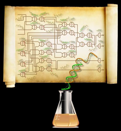 Largest DNA-Based Computer Ever Built Can Calculate Square Roots