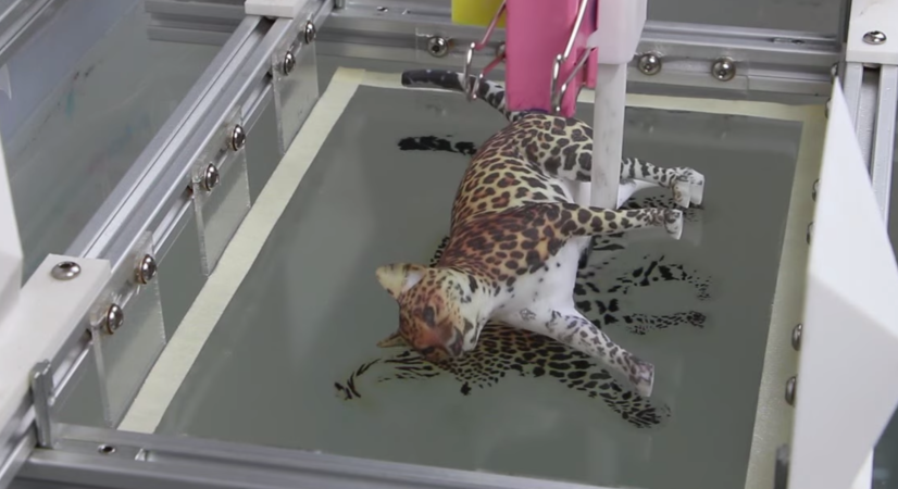 Watch This Futuristic Vat Of Water Paint A Cat