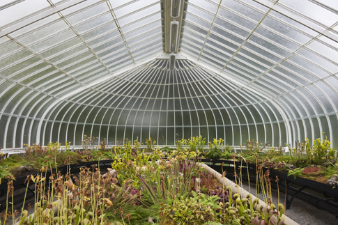 Ole! Spanish Greenhouses Make Climate Less Caliente