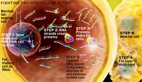 The Future of Medicine