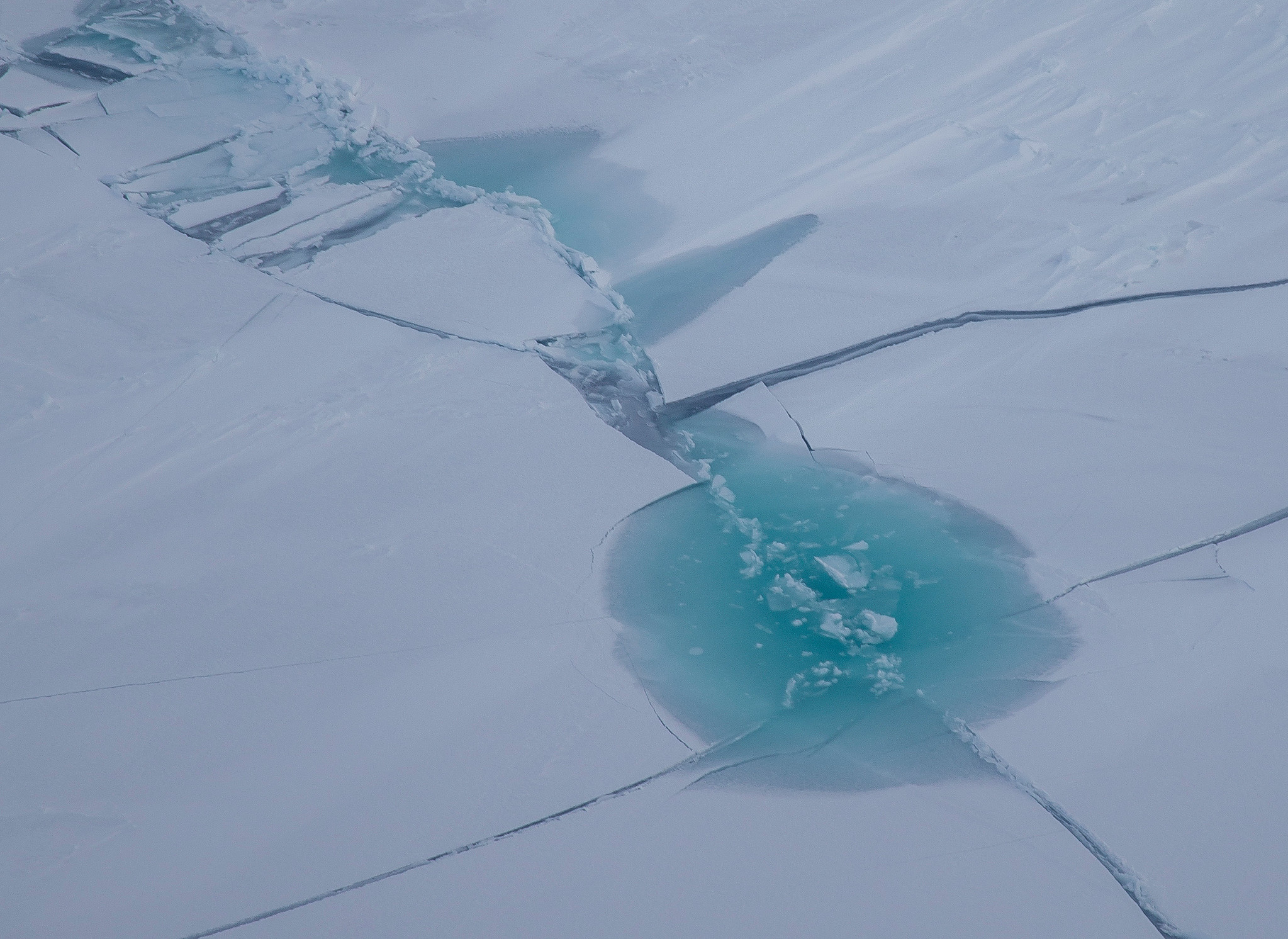 Frozen ponds