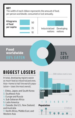 How The World Wastes Food [Infographic]