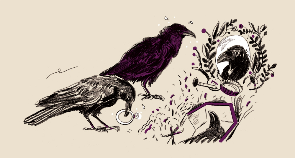 crows