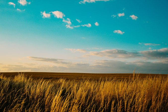 We’ve been grinding up plants to eat for over 10,000 years