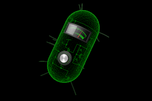 This Bacterium Can Do Division, Compute Logarithms And Take Square Roots