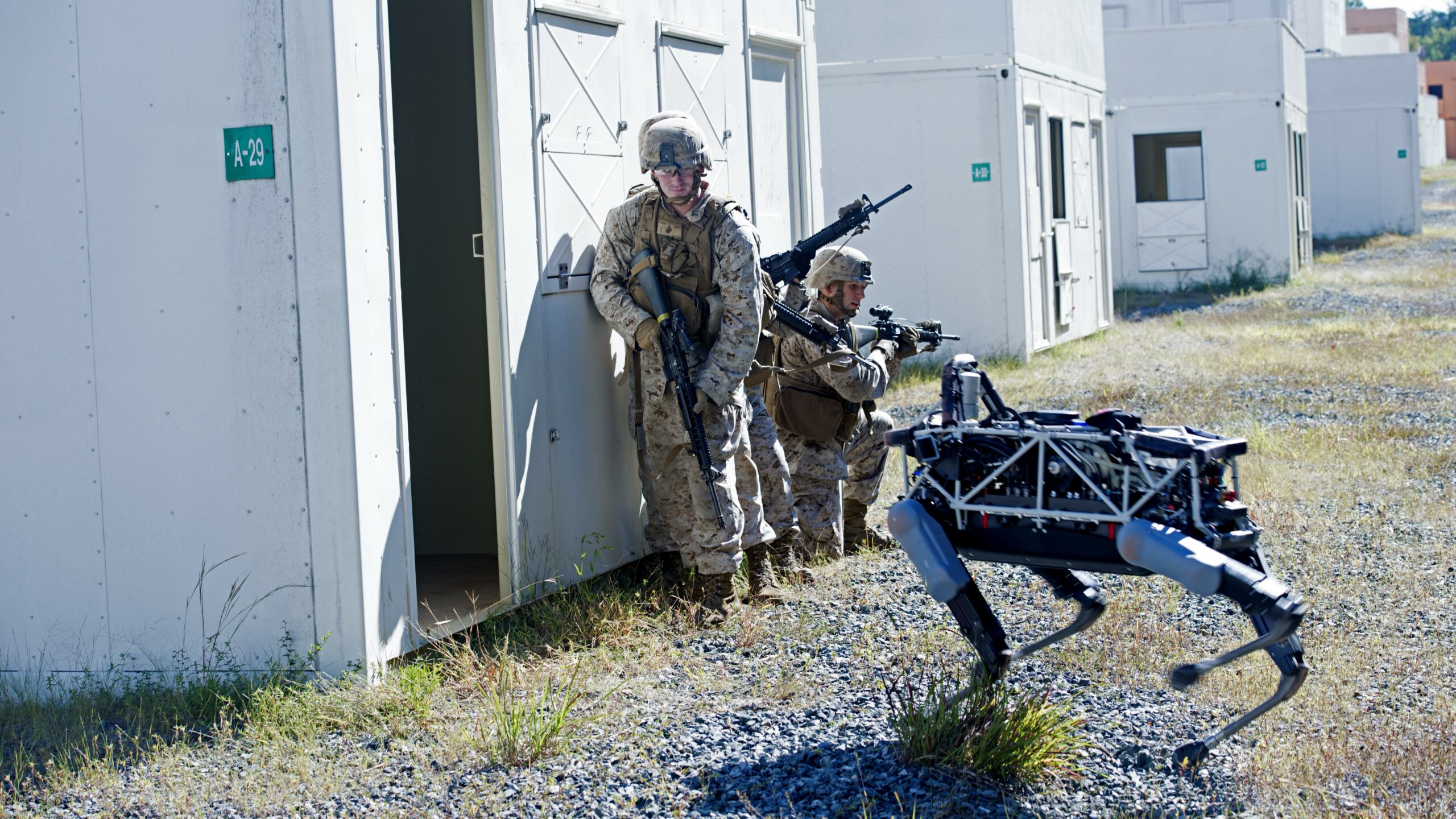 Spot And Marines At Quantico