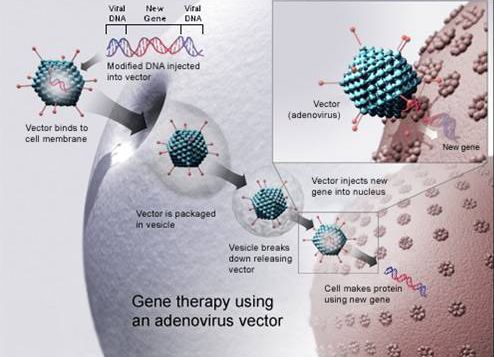 Gene Therapy Is Inevitable Next Frontier for Sports Doping