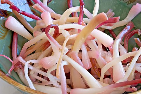 A bunch of quick-pickled ramps.