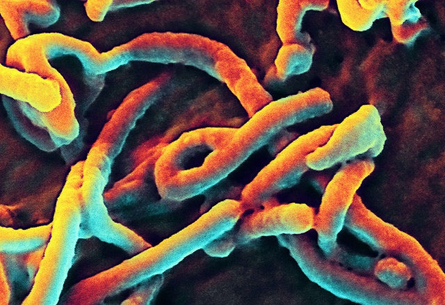 What It’s Like To Work As A Contact Tracer For Ebola