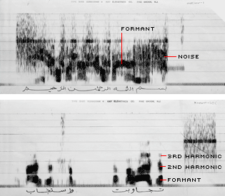 Graphing the Voice of Terror