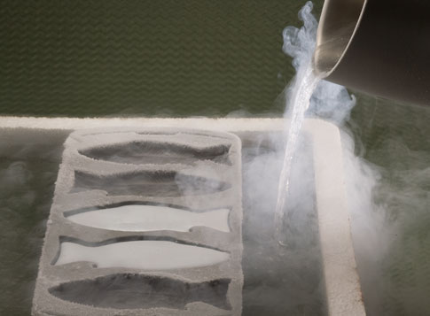 A person pouring liquid nitrogen onto mercury inside fish molds.