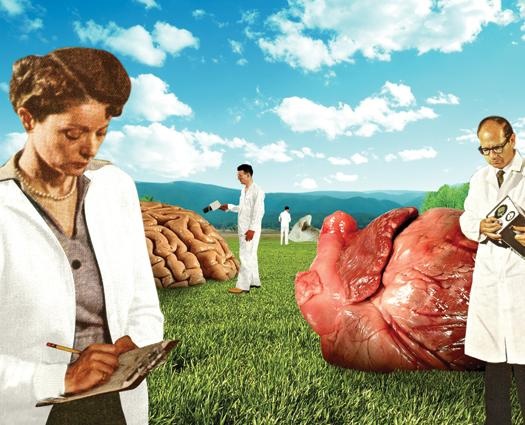 Foundation Offers $1 Million Prize For A Bioengineered Liver