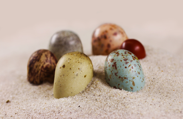 Six eggs in various colors including blue and yellow and red with brown spots, arranged in a circle on sand.