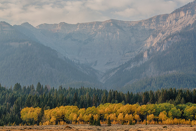 mountains