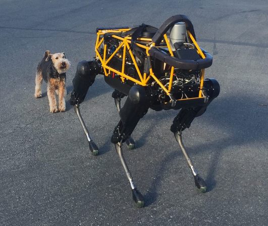 Fleshy Dog Hates Robot Dog