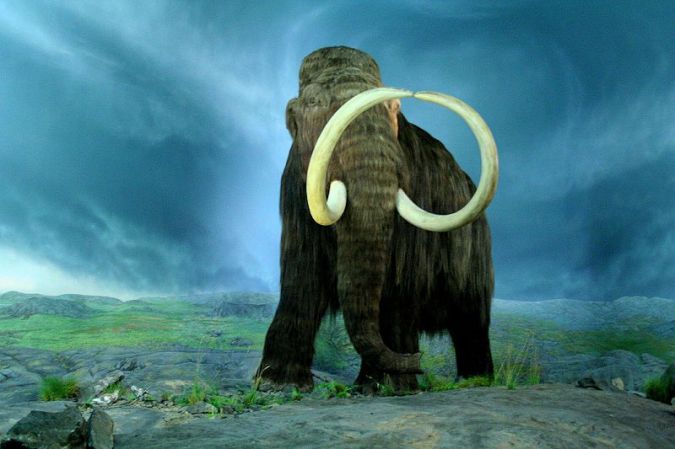 Resurrection Researchers Recreate Woolly Mammoth Protein in Living Cell