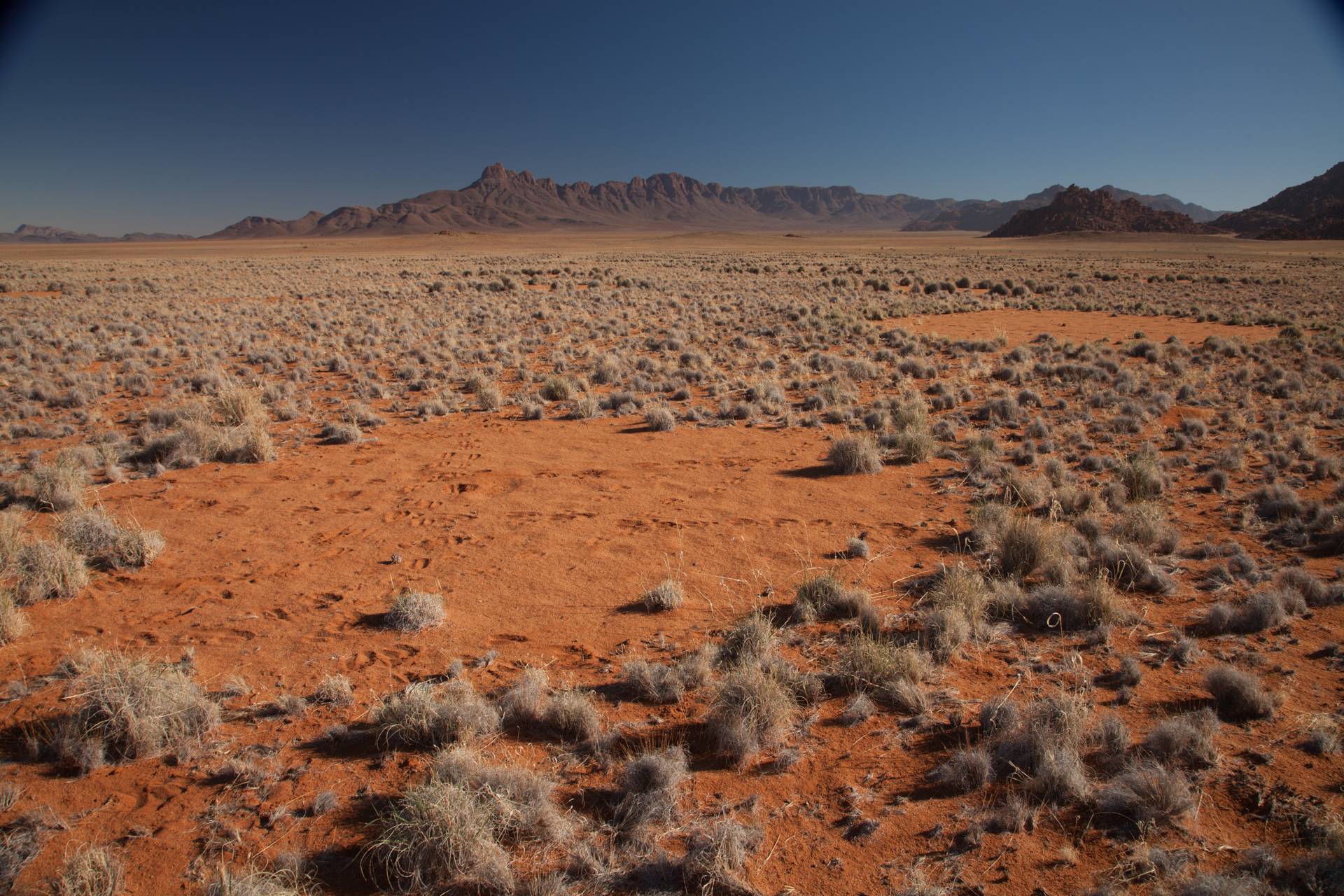 Namibia fairy circle