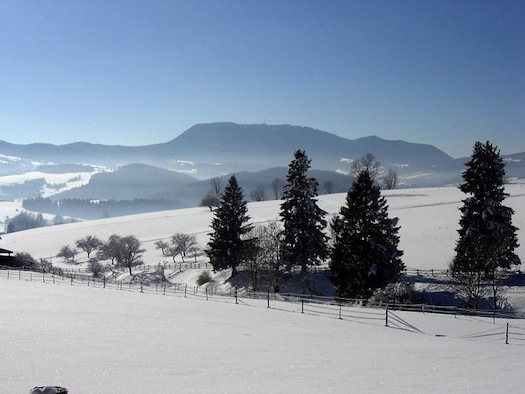 Google Searches For Mental Illnesses Increase During The Winter