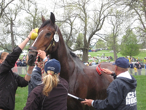 Know Your Olympic Sport: Equestrian